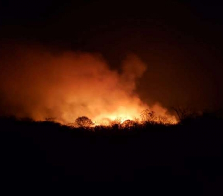 Incêndios atingem áreas de mata em Santa Quitéria e Ipueiras há três dias seguidos